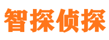 四方台市私人侦探